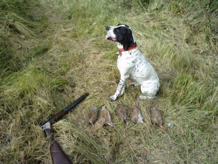 Une matinée idéale !!!